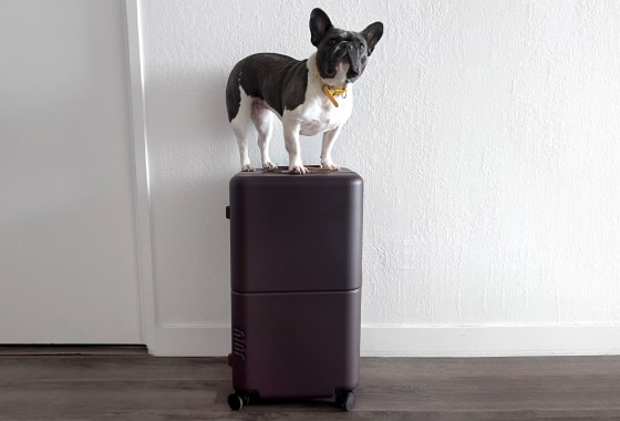 When is the best time to buy luggage?