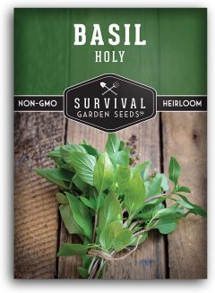 SURVIVAL GARDEN SEEDS Holy Basil Seed