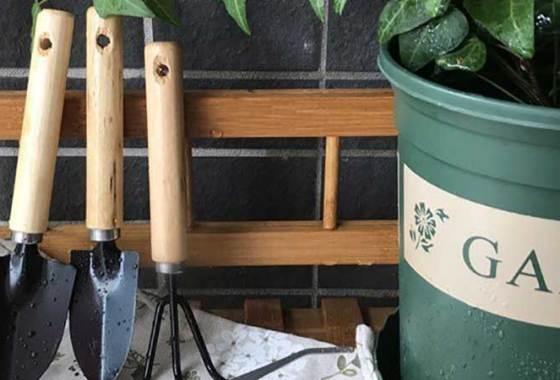 Best Bonsai Tool Kits