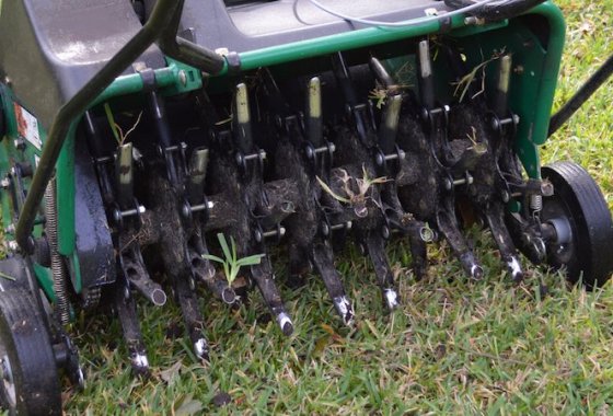 Best Lawn Aerators