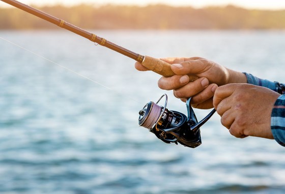 Best Fishing Line
