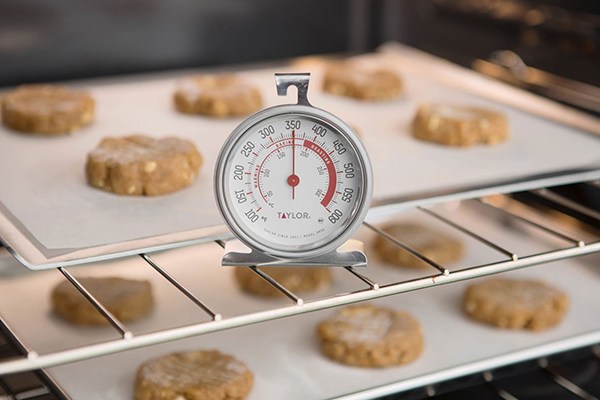https://cdn1.bestreviews.com/images/v4desktop/image-full-page-600x400/taylor-oven-thermometers-c13fdf.jpg?p=w900
