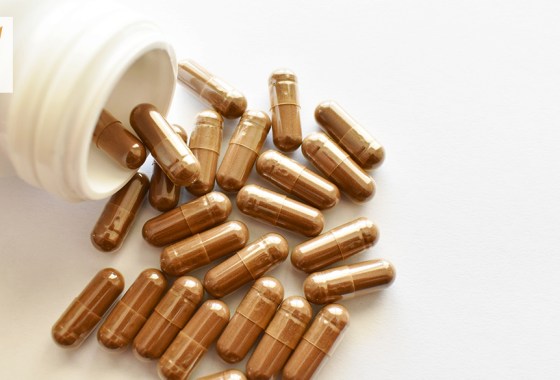 Reishi mushroom benefits