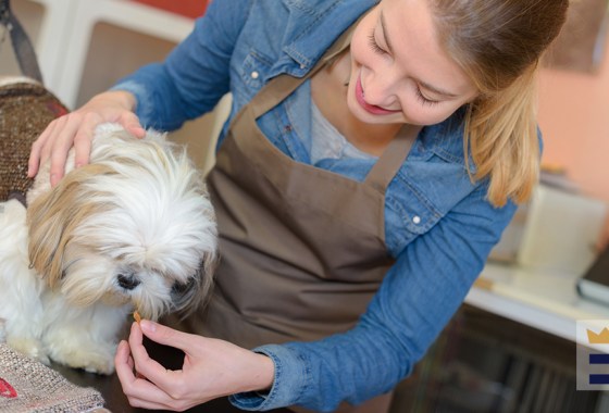 Best Dasuquin for dogs