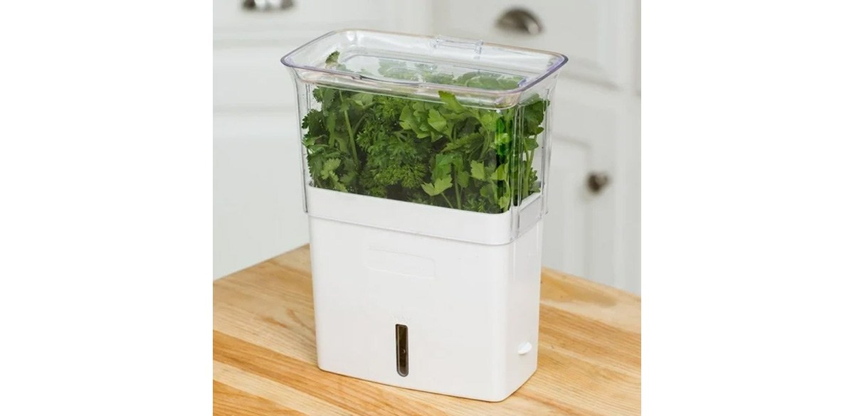 HHY Cole &amp; Mason Fresh Herb Keeper