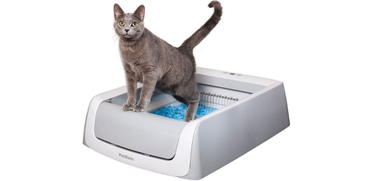 PetSafe ScoopFree Crystal Pro Self-Cleaning Cat Litter Box