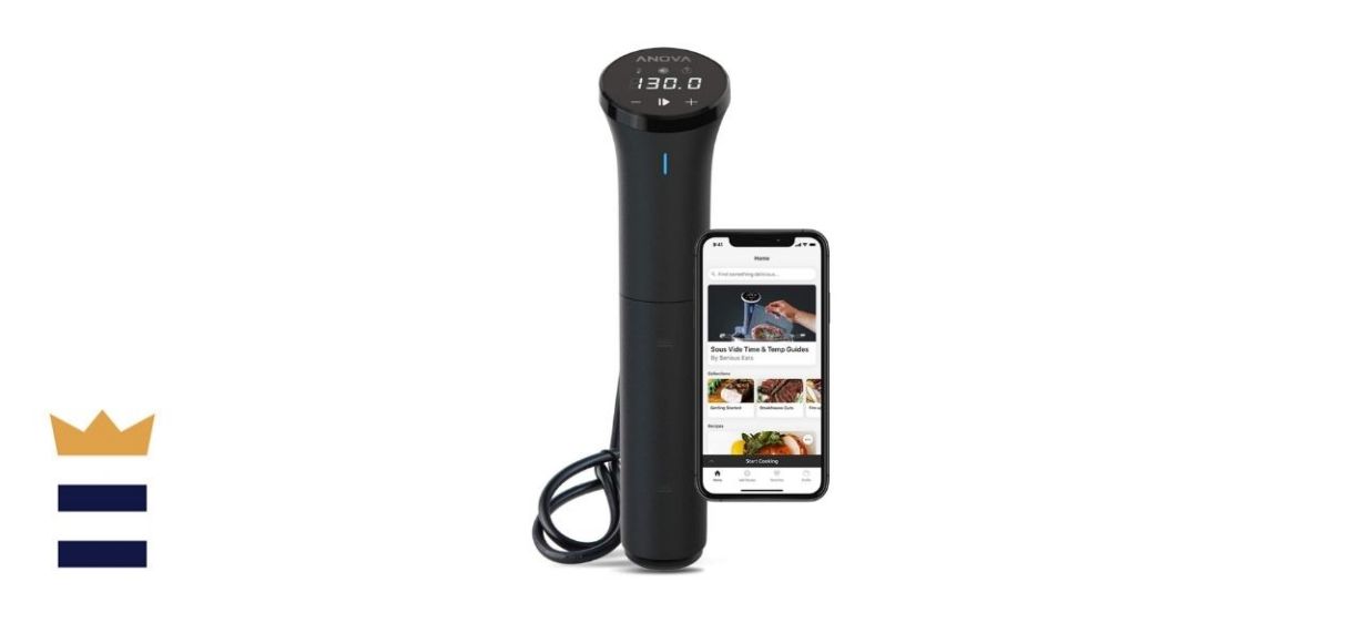 Anova Culinary Sous Vide Precision Cooker Nano