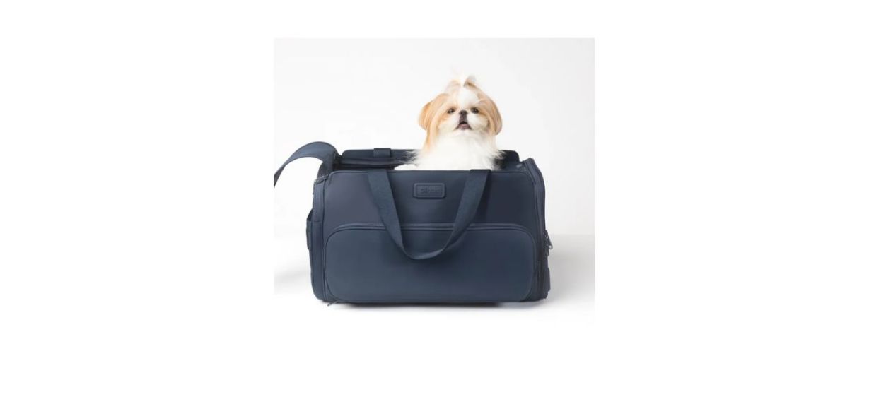 Diggs Passenger Travel Carrier Diggs Passenger Travel Carrier