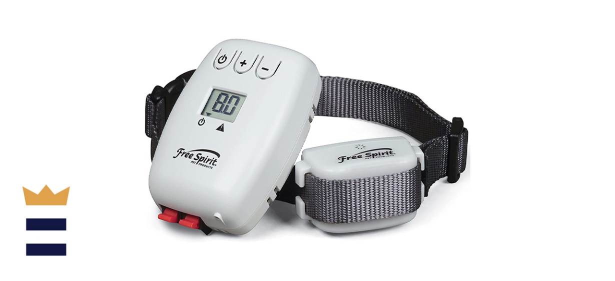 Best invisible fence