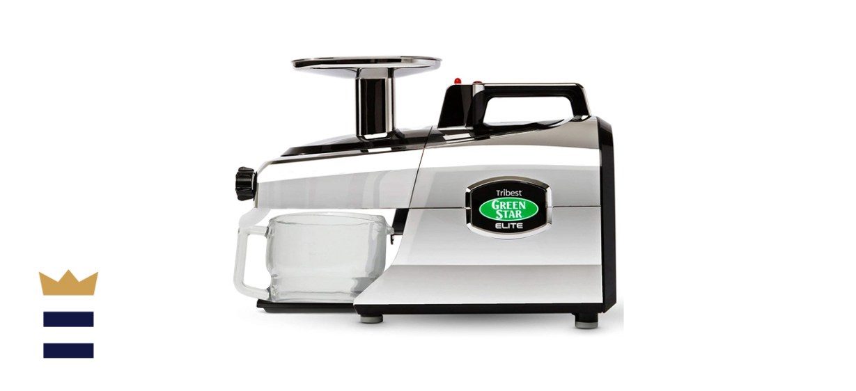 Tribest Greenstar Elite Cold Press Masticating Juicer