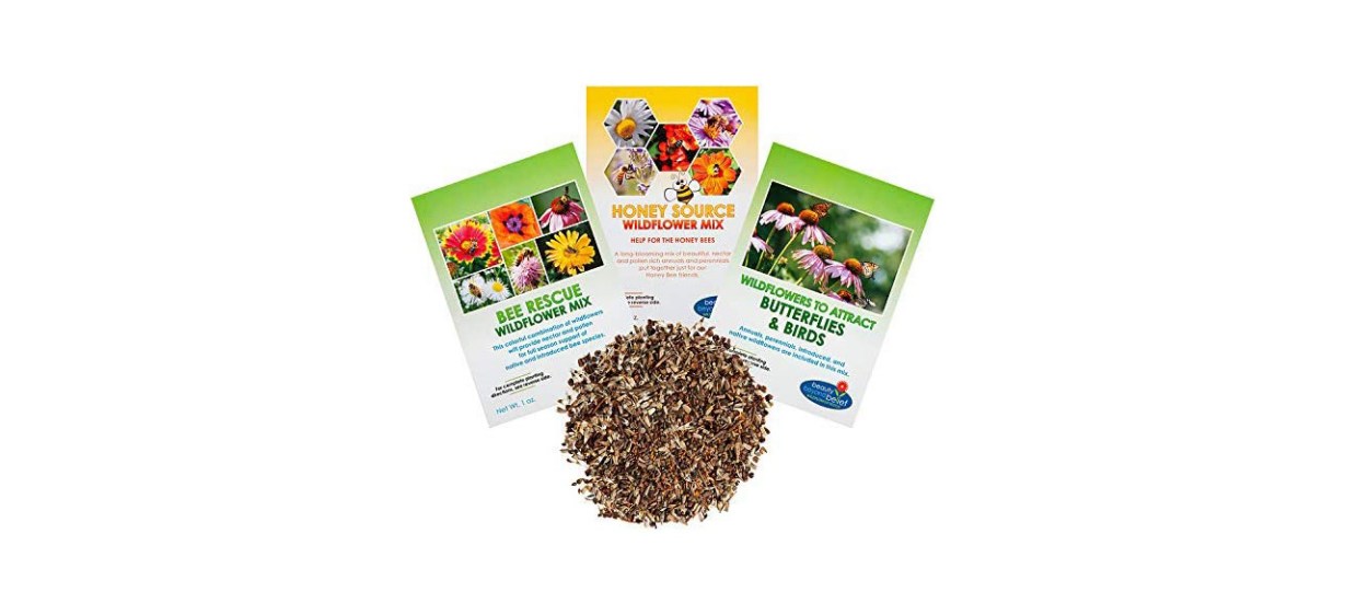 Best Wildflower Seeds Best Wildflower Seeds