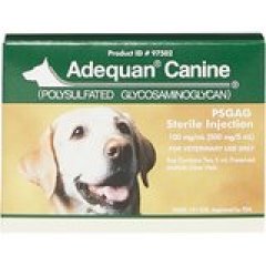 Adequan Canine Injectcable for Dogs