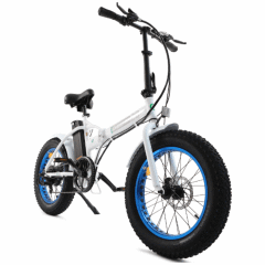 Ecotric Folding Mountain Bike