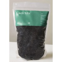 The Sill Organic Cacti Mix
